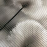 Schiebevorhang Doclia 84108-0301 grau, Bambus-Optik recycelt, Serie Home in Green, halbtransparent mit Digitaldruck, weisse, flauschige Fruchtstände des Wollgrases über die ganze Vorhangfläche, verschwimmende Konturen im Hintergrund, weiss und unterschiedliche Grautöne